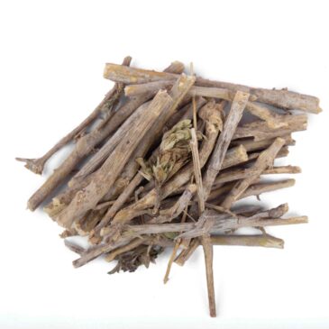 Bansa Kala