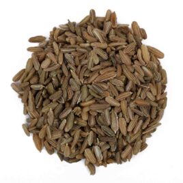 Beej Gajar