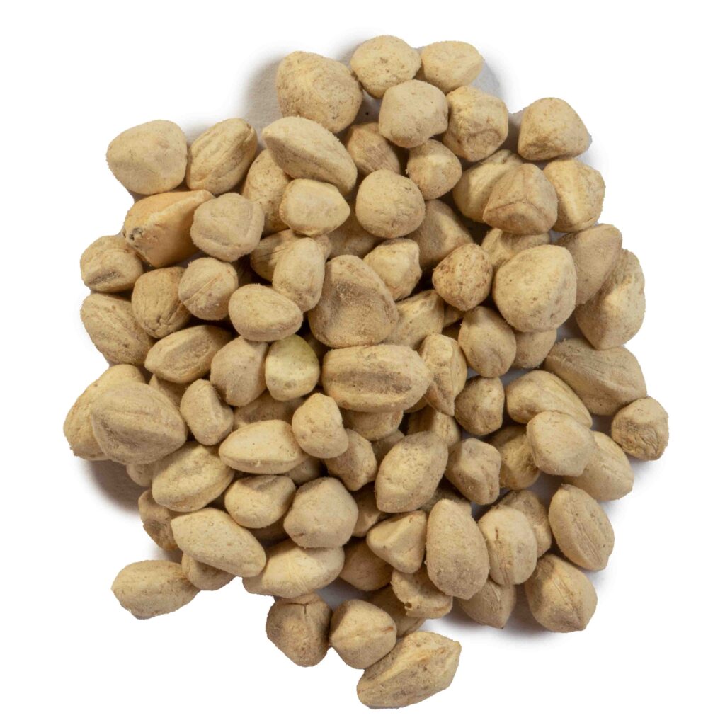 Beej Sohjana