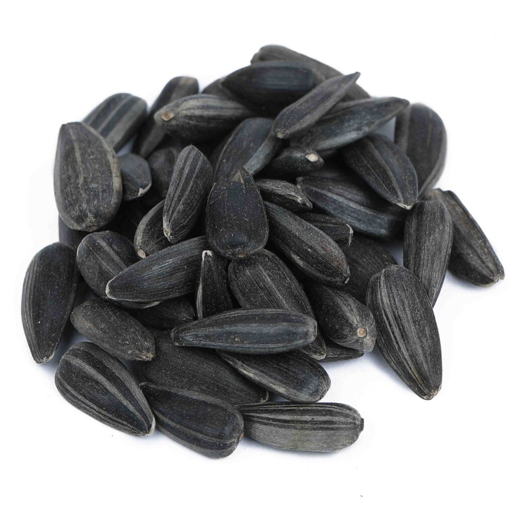 Beej Surajmukhi