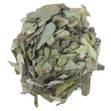 Chirmati Patta