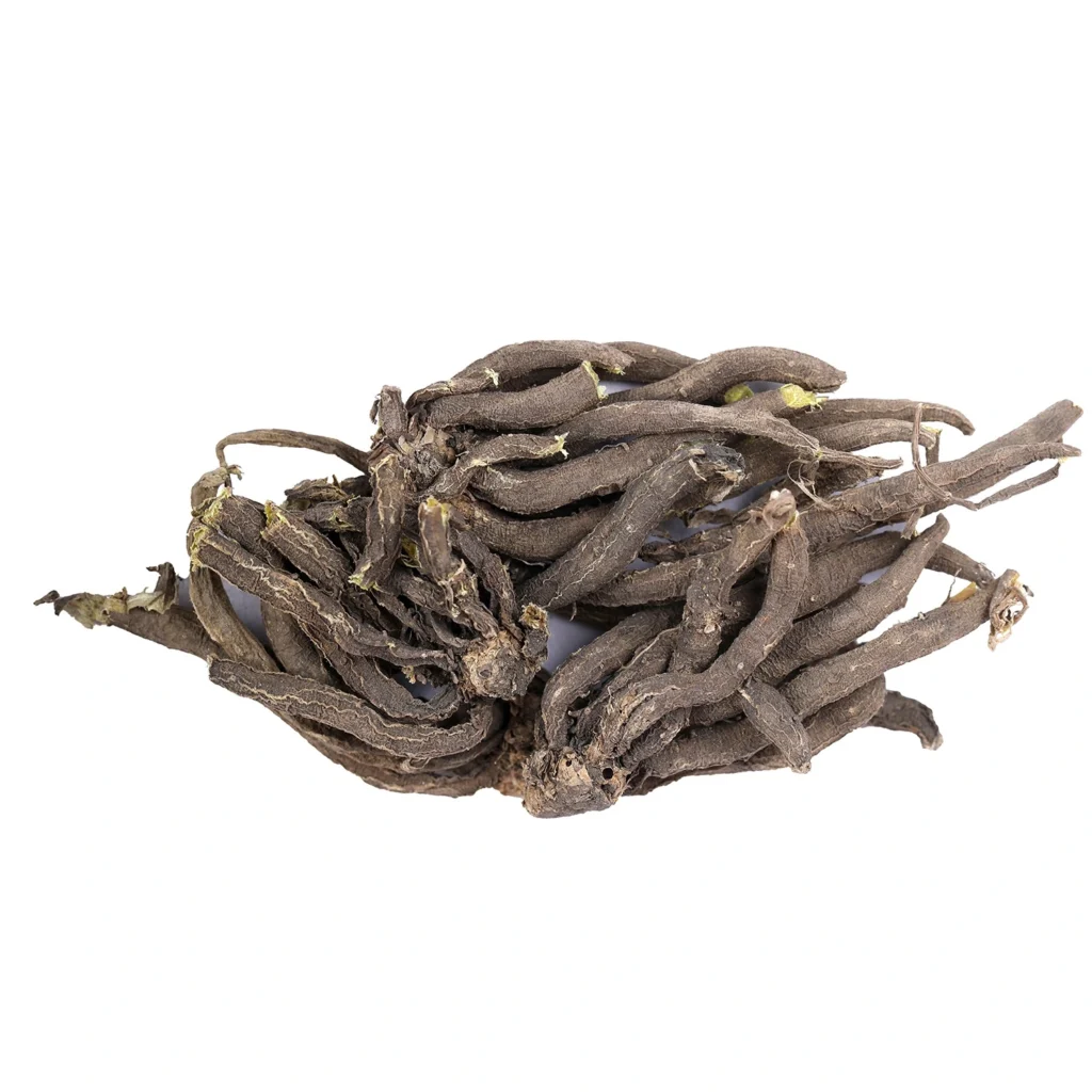 Kakoli