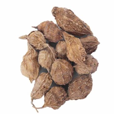 Karela Chota