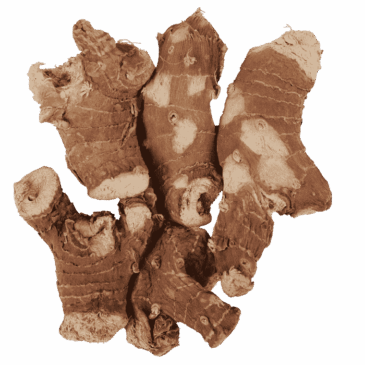 Kulanjan