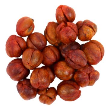 Malkangni