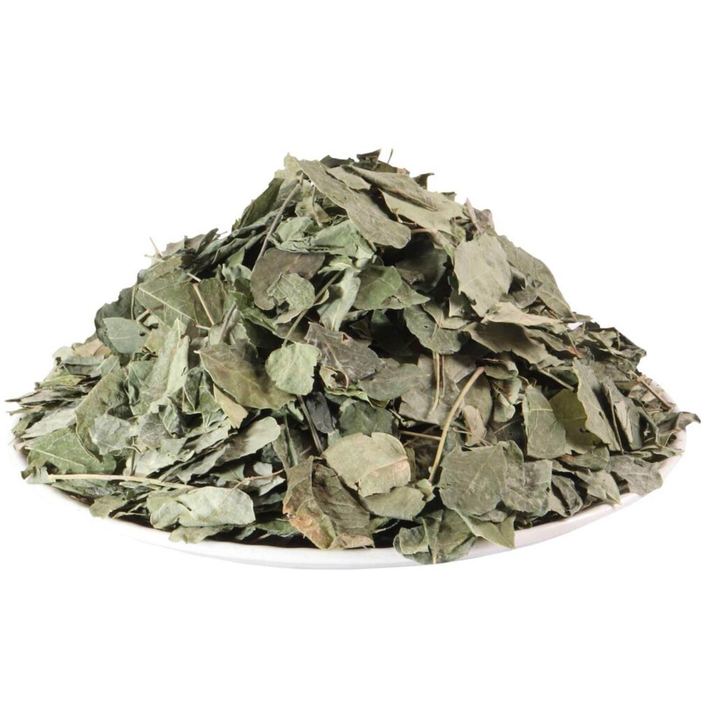 Moringa Leaves