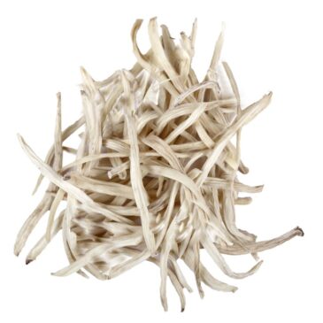Musli Safed