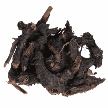 Nagarmotha