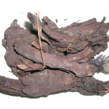 Neem Chilka