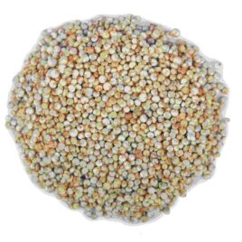 Quinoa