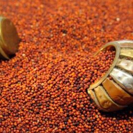 Ragi