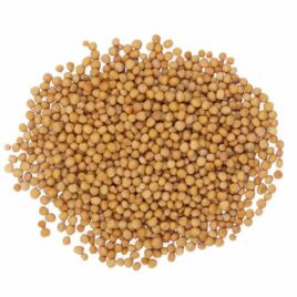 Sarso Pili