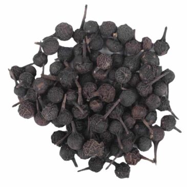 Shital Chini