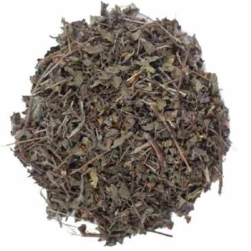 Tulsi Patta