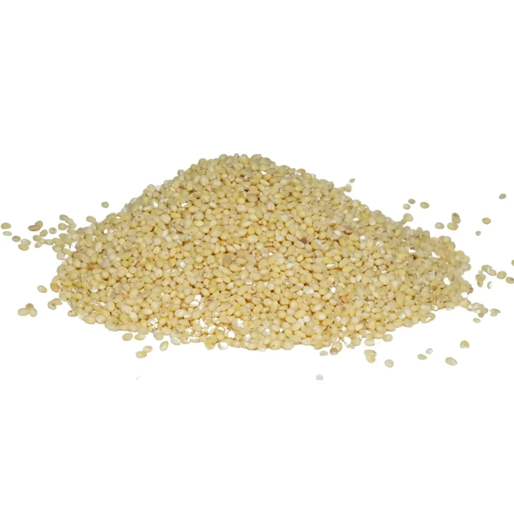 Proso Millet