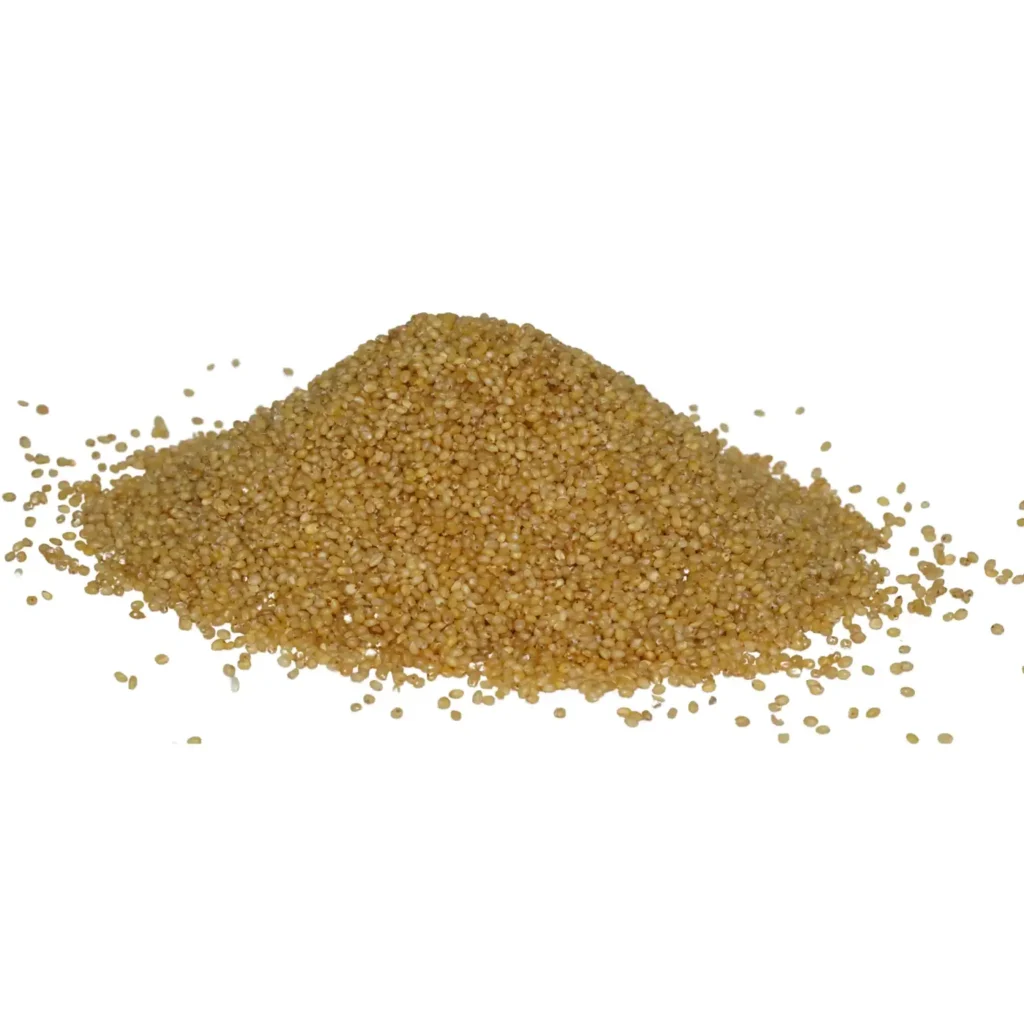 Foxtail Millet